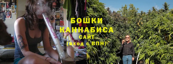 спайс Бородино