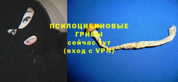 спайс Снежногорск