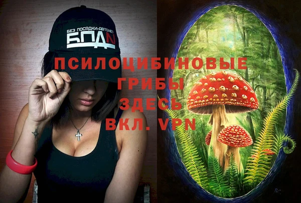 MDMA Premium VHQ Верхний Тагил