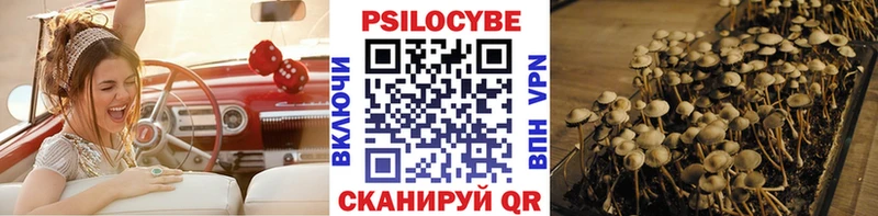 Псилоцибиновые грибы мицелий  где найти   Новосокольники 